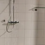 فيلة Kumpu روفانييمي